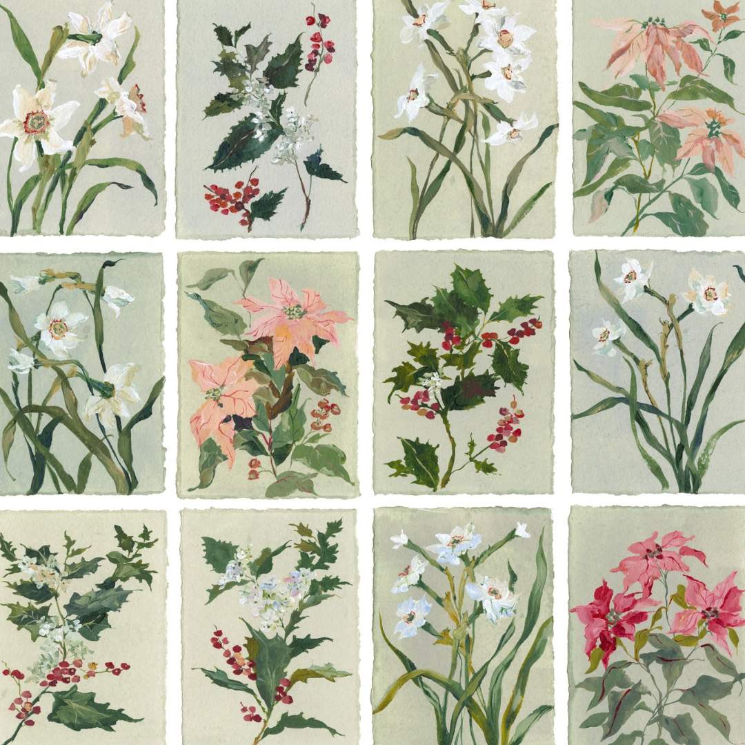 December's Holly & Narcissus: Series of 16