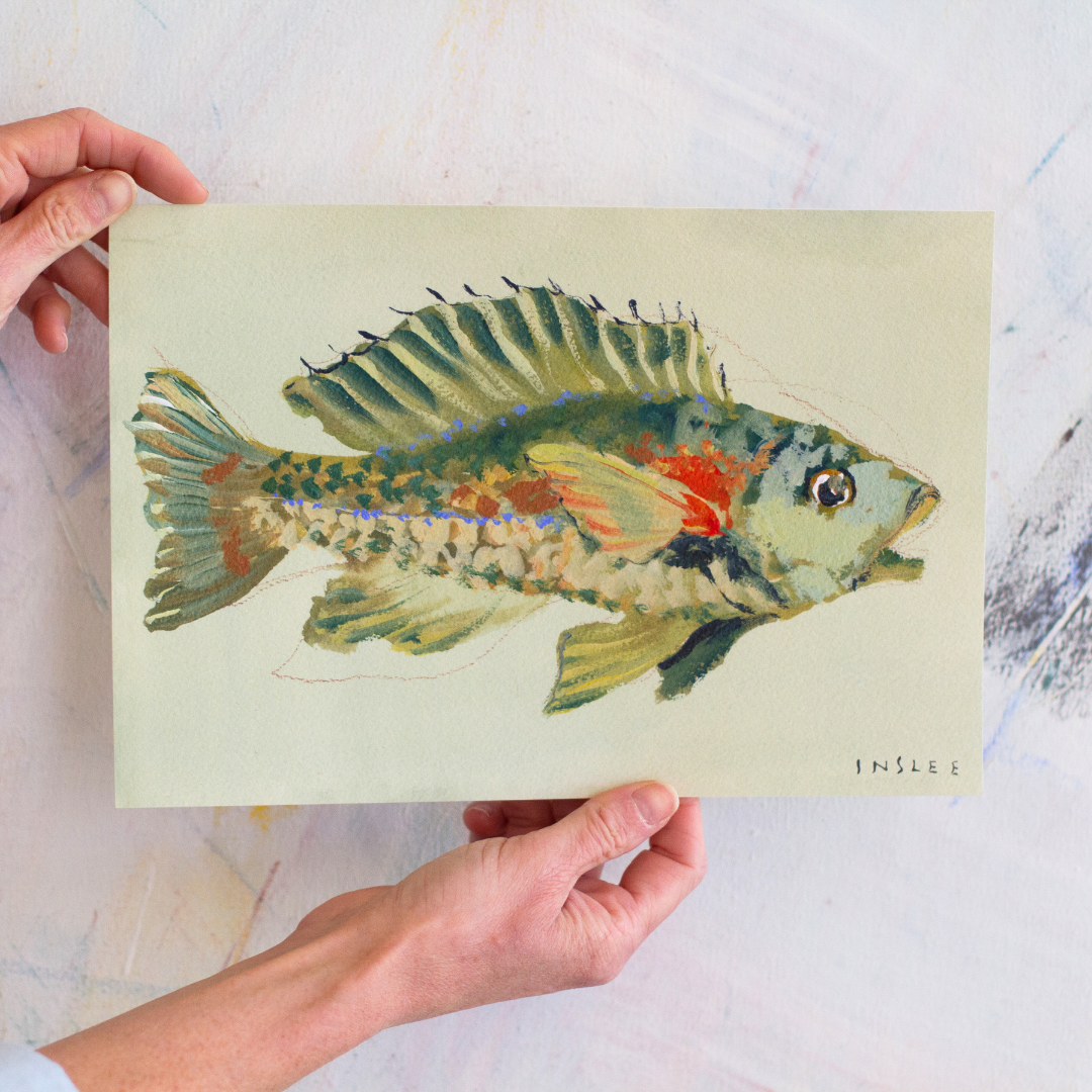 Olive Fish