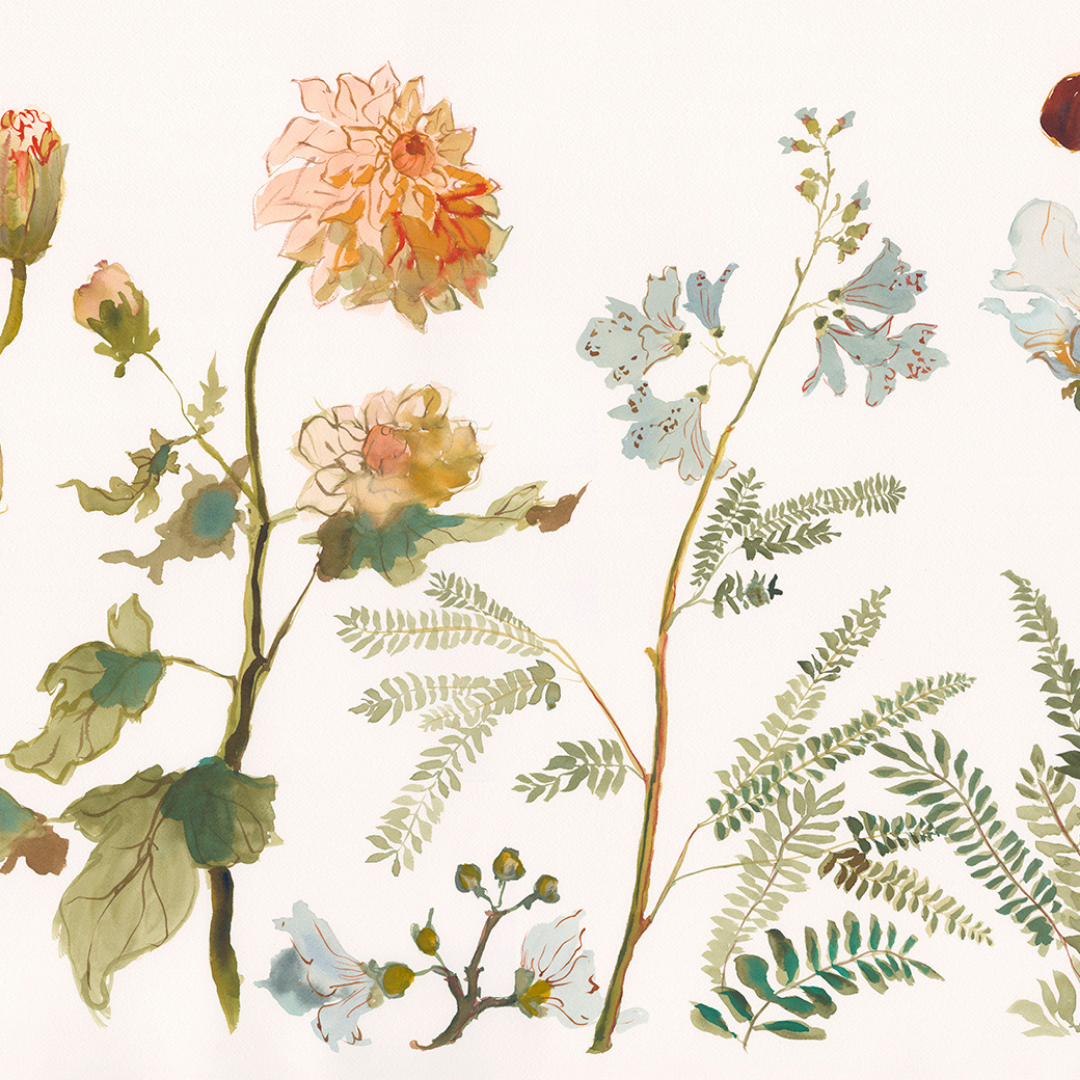 Paris Apartment Series: Dahlia and Fern inslee fariss watercolor