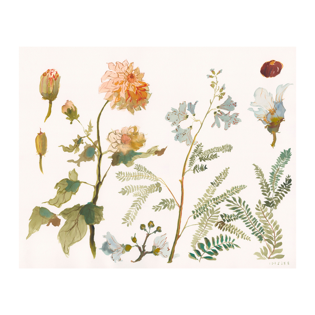 Paris Apartment Series: Dahlia and Fern inslee fariss watercolor