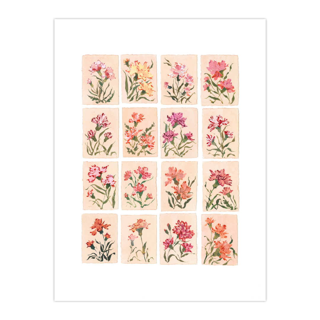 January's Carnation: Series of 16