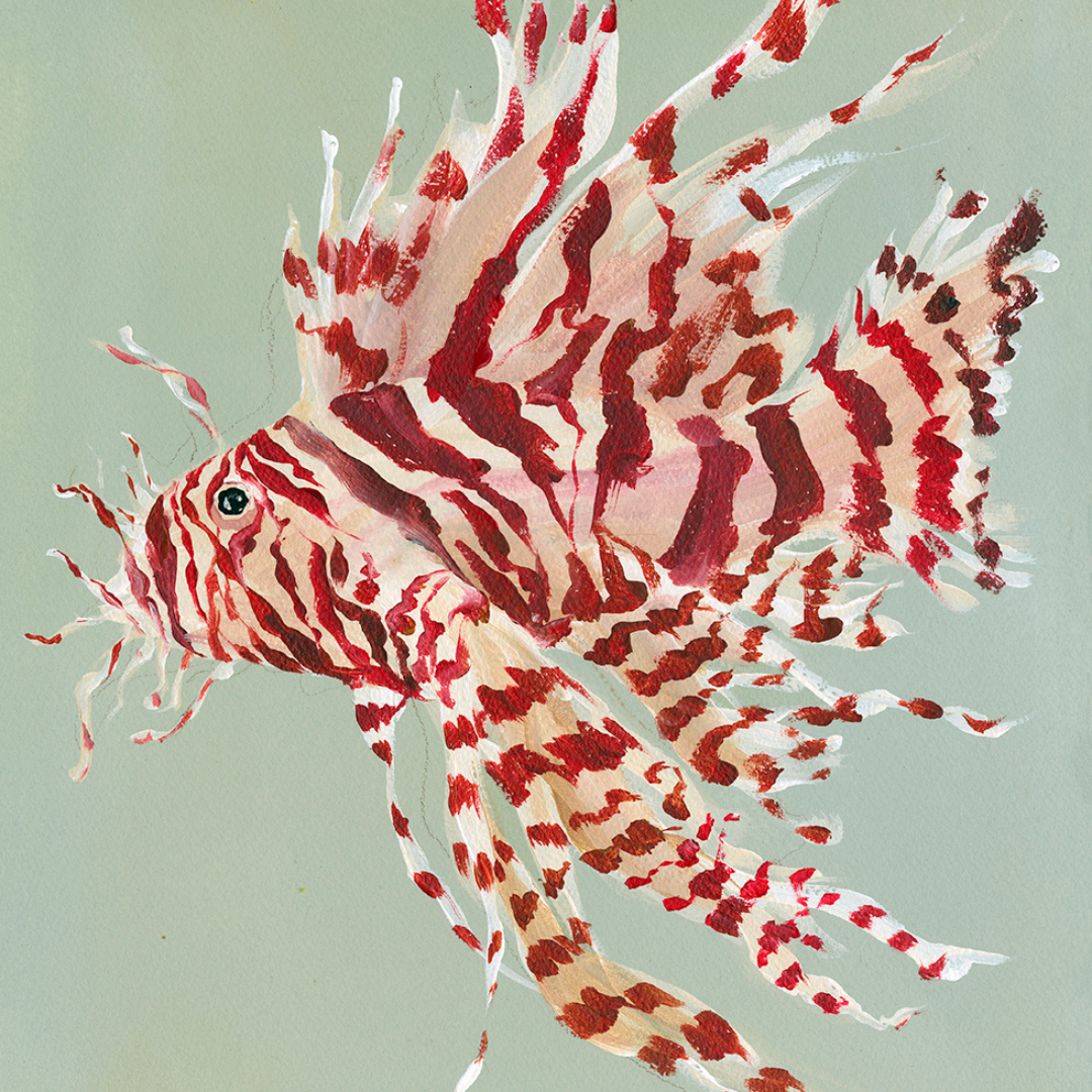 Inslee fariss lion fish watercolor painting print 