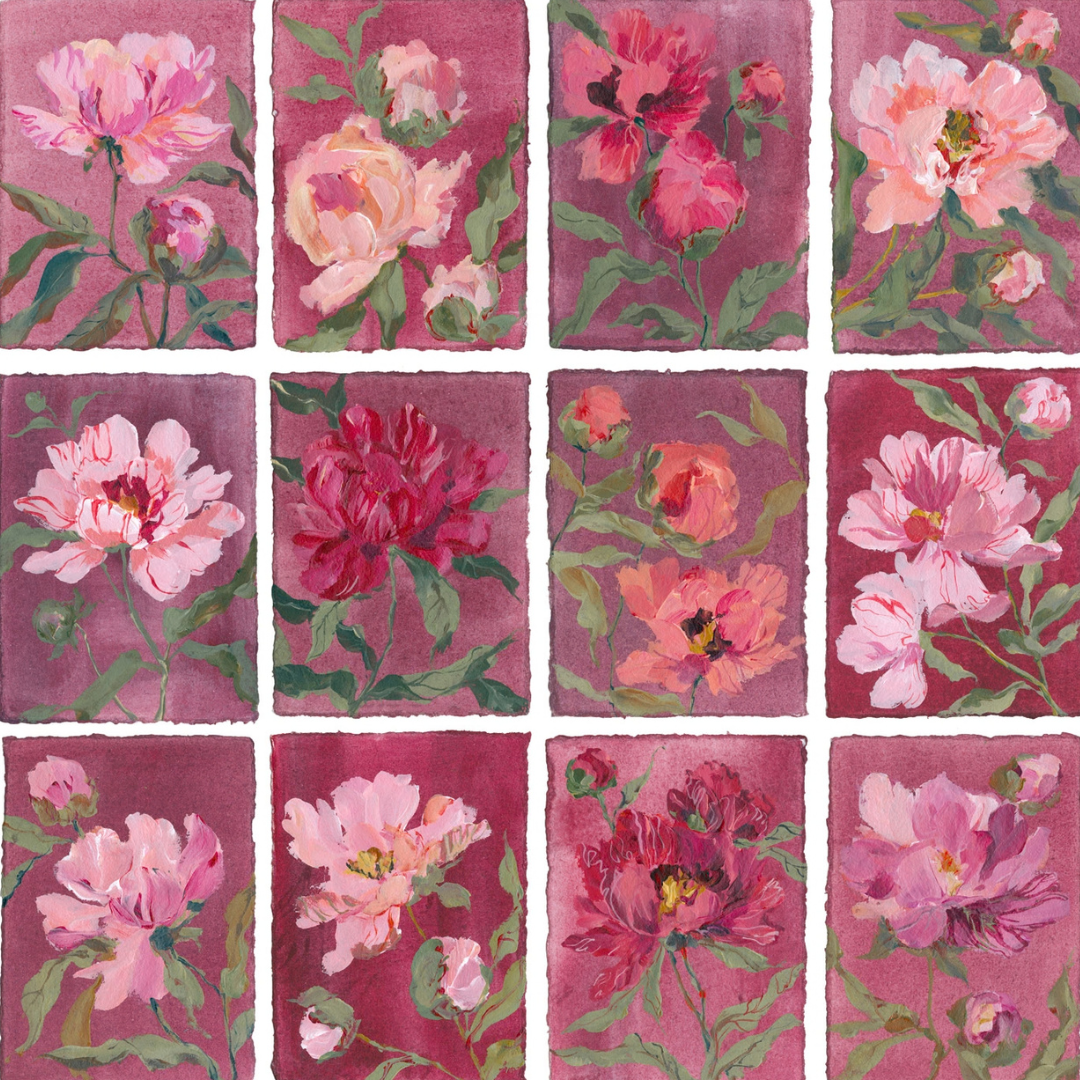 November's Peony: Series of 16