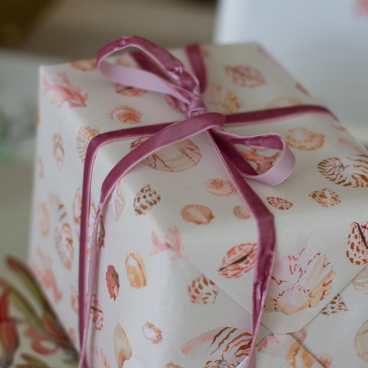 Gone Shelling Gift Wrap