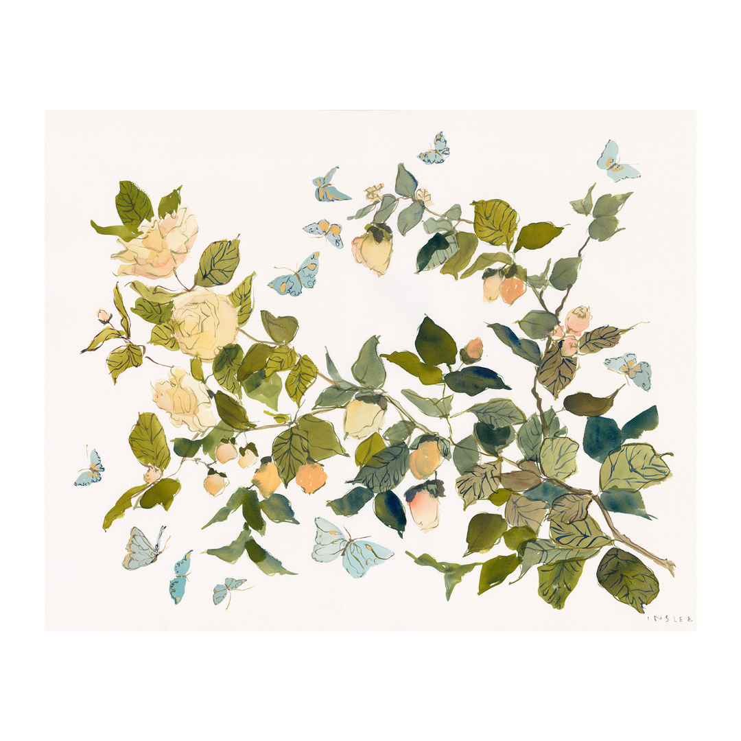 Paris Apartment Series: Climbing Rose and Butterflies inslee fariss watercolor