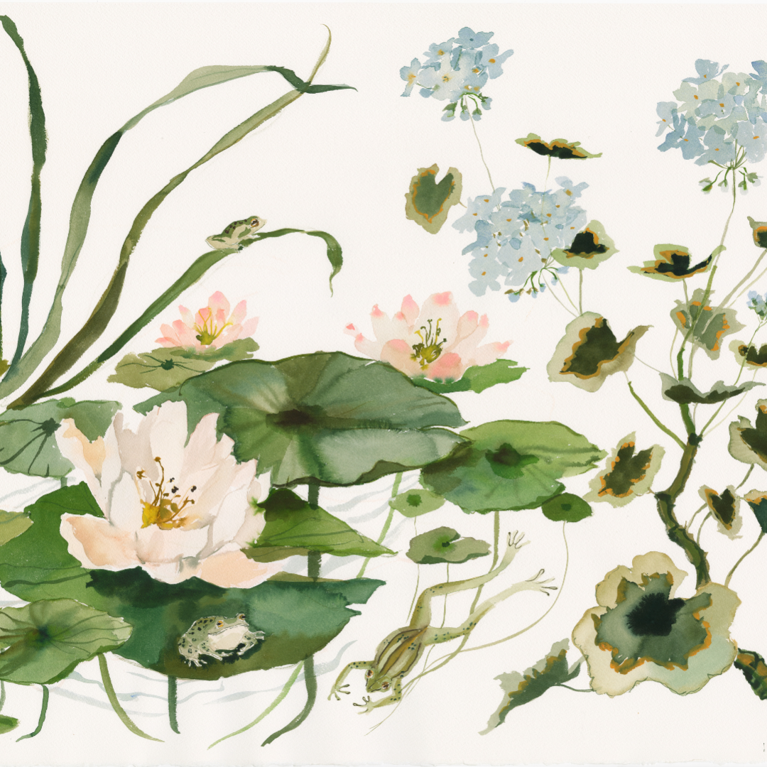 Paris Apartment Series: Water Lily and Geranium inslee fariss watercolor