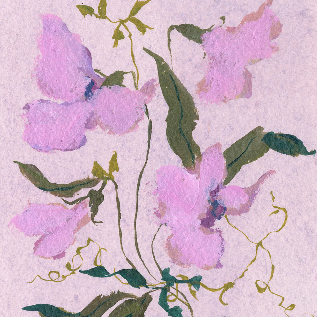 April's Sweet Pea No. 2