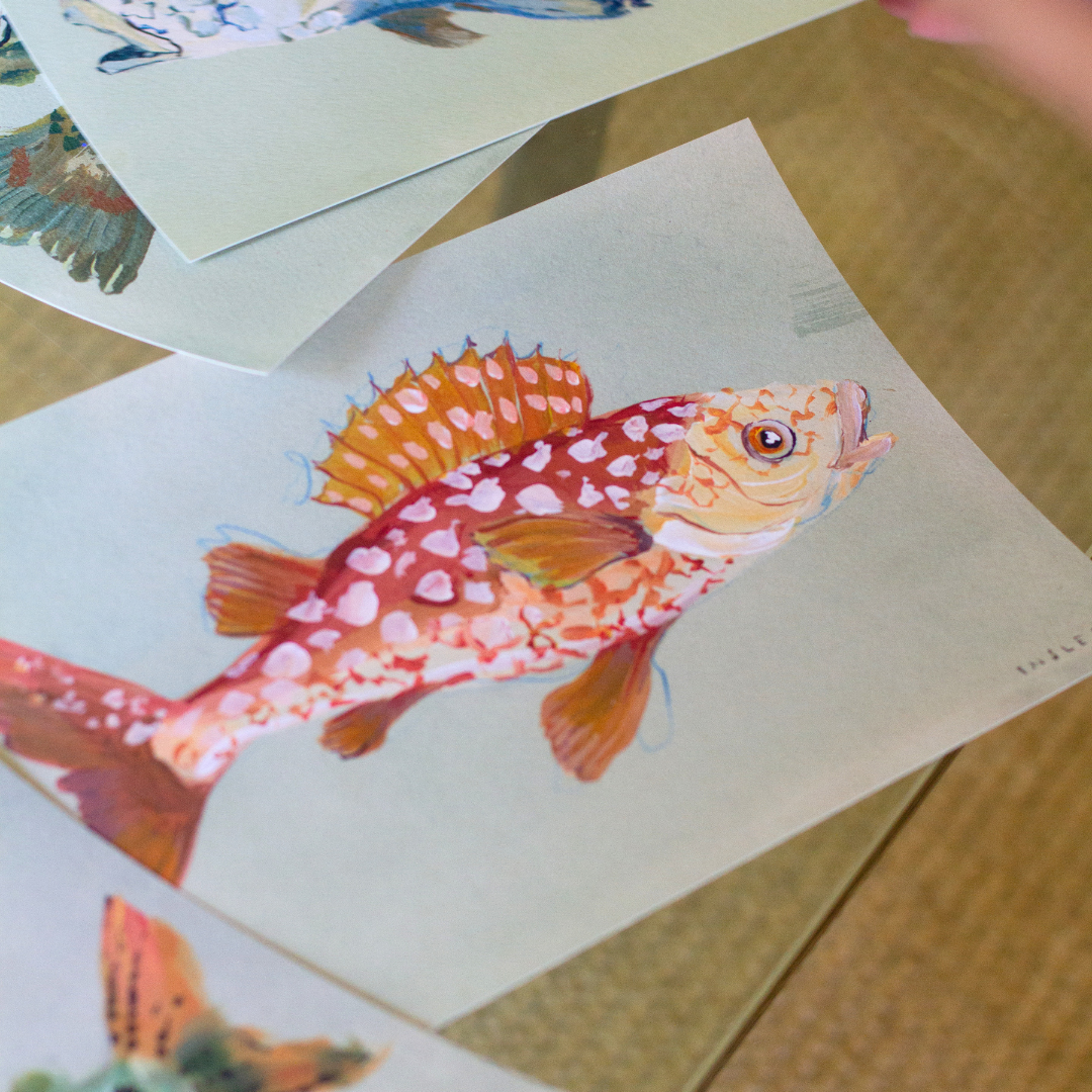 Tangerine Fish