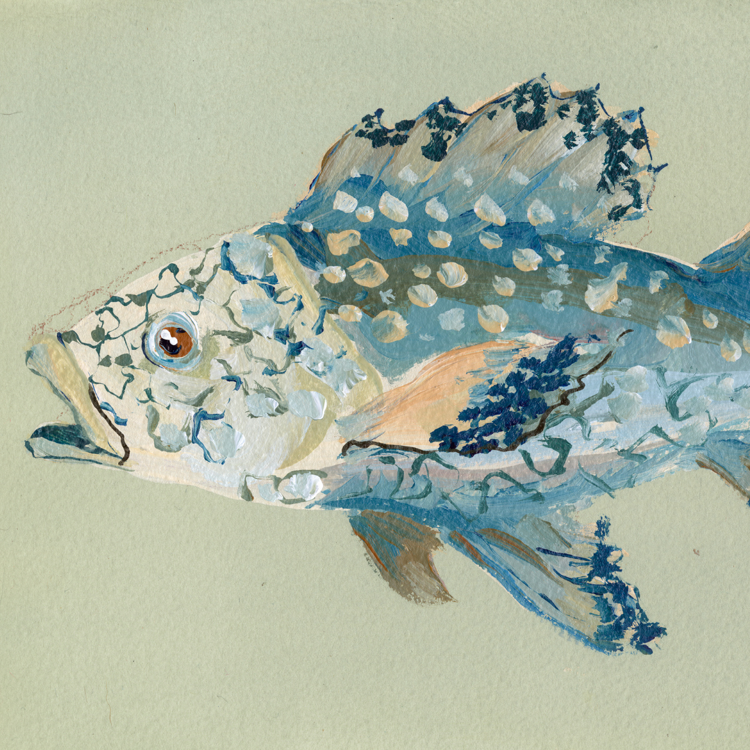 inslee fariss indigo fish print watercolor art