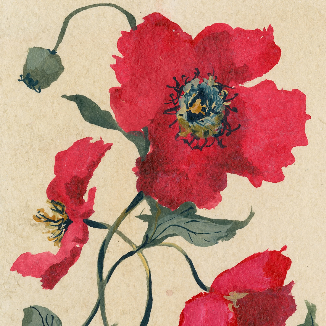 August's Poppy No. 2