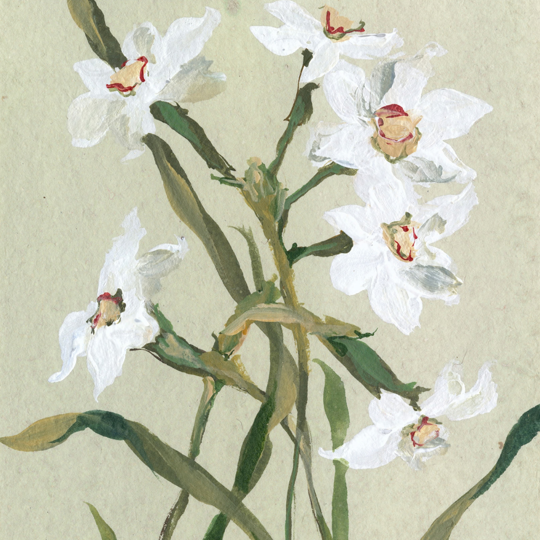 December's Narcissus