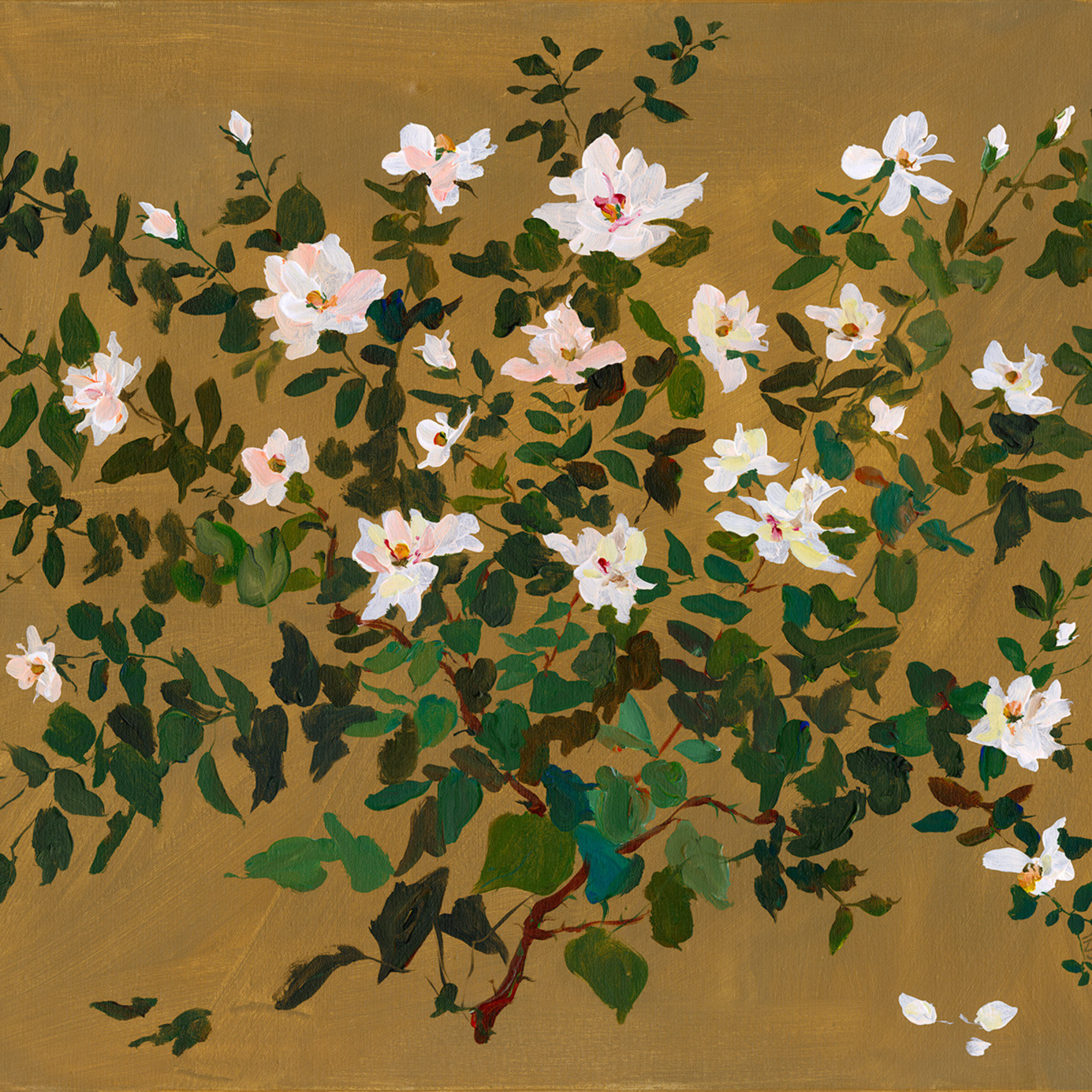 Terra Print: Rose
