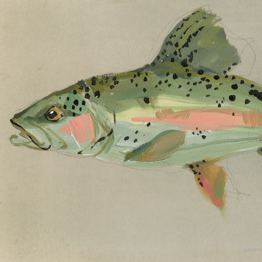 inslee fariss speckled fish print watercolor art