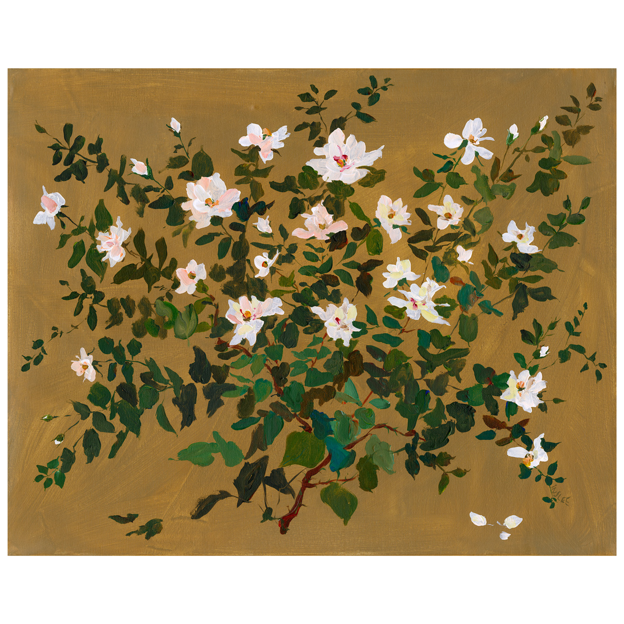 Terra Print: Rose