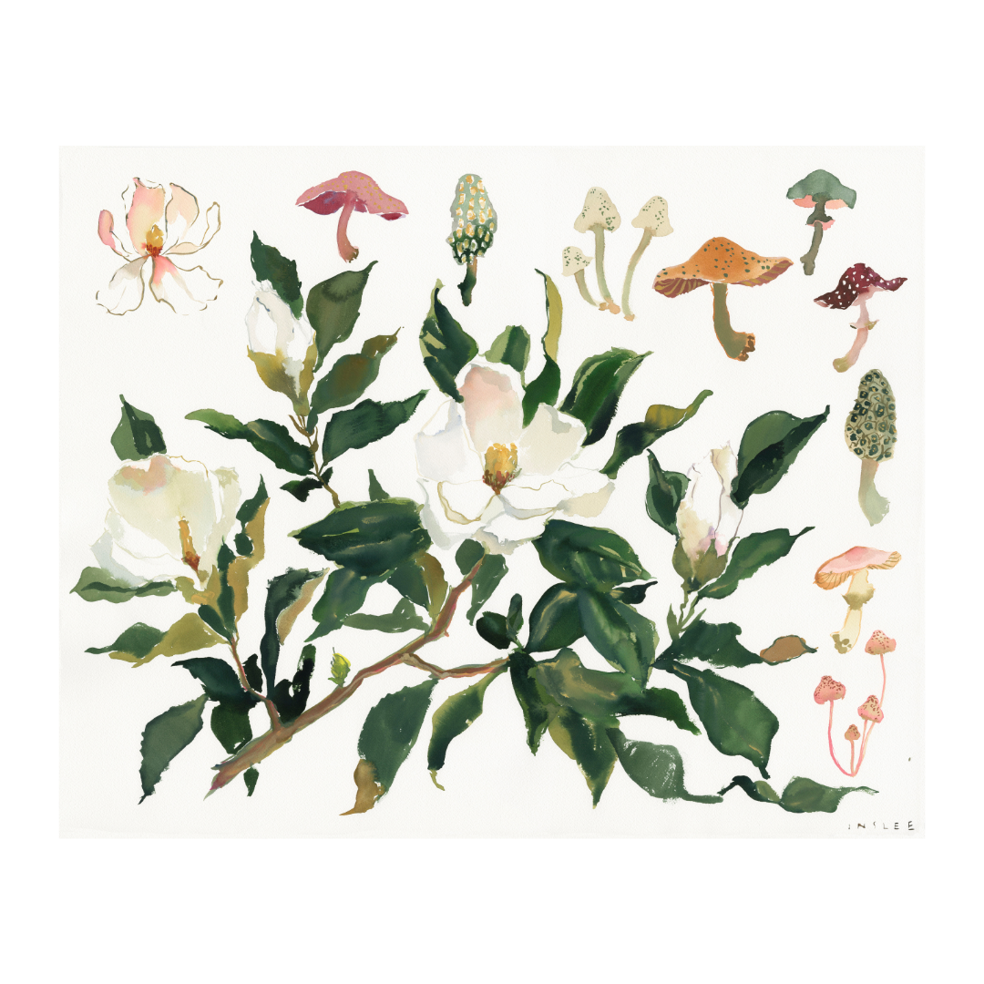 Paris Apartment Series: Magnolia and Mushroom