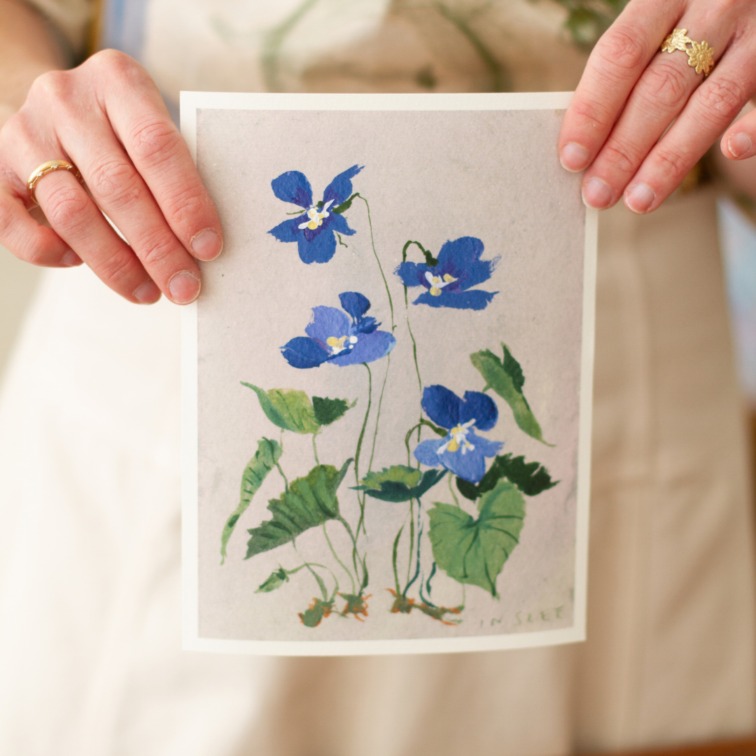 February's Primrose No. 2