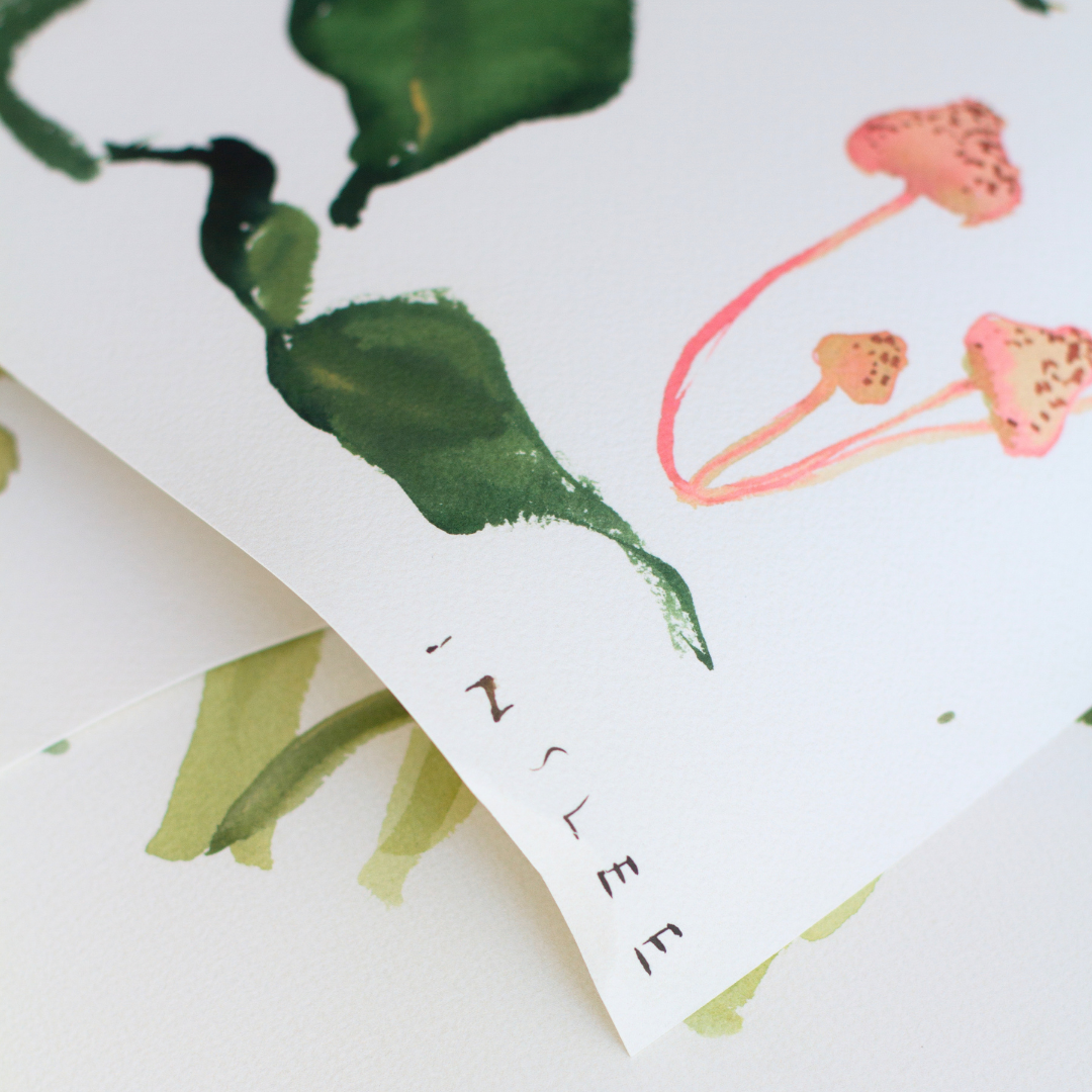Paris Apartment Series: Magnolia and Mushroom