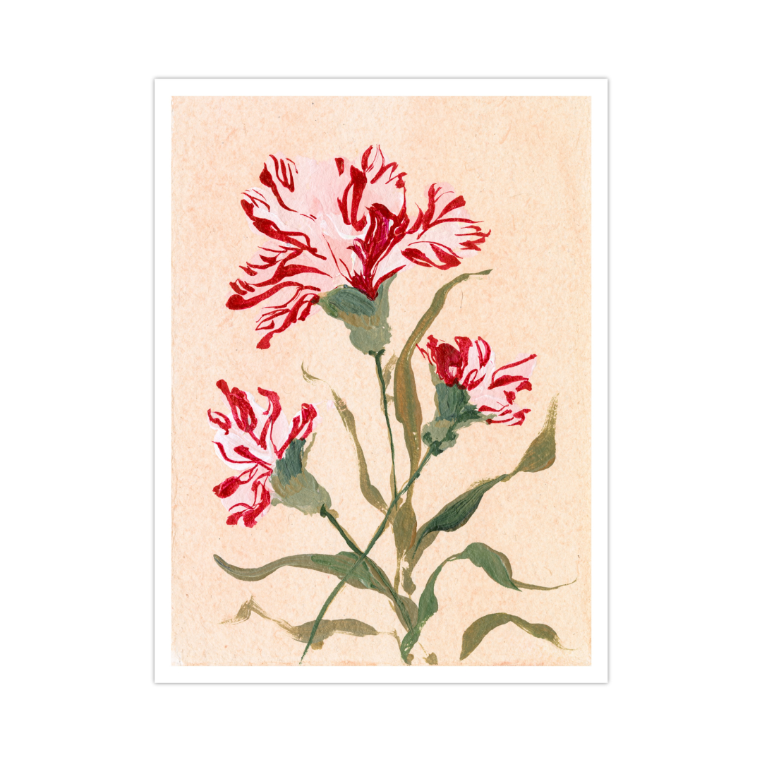 January's Carnation No. 2