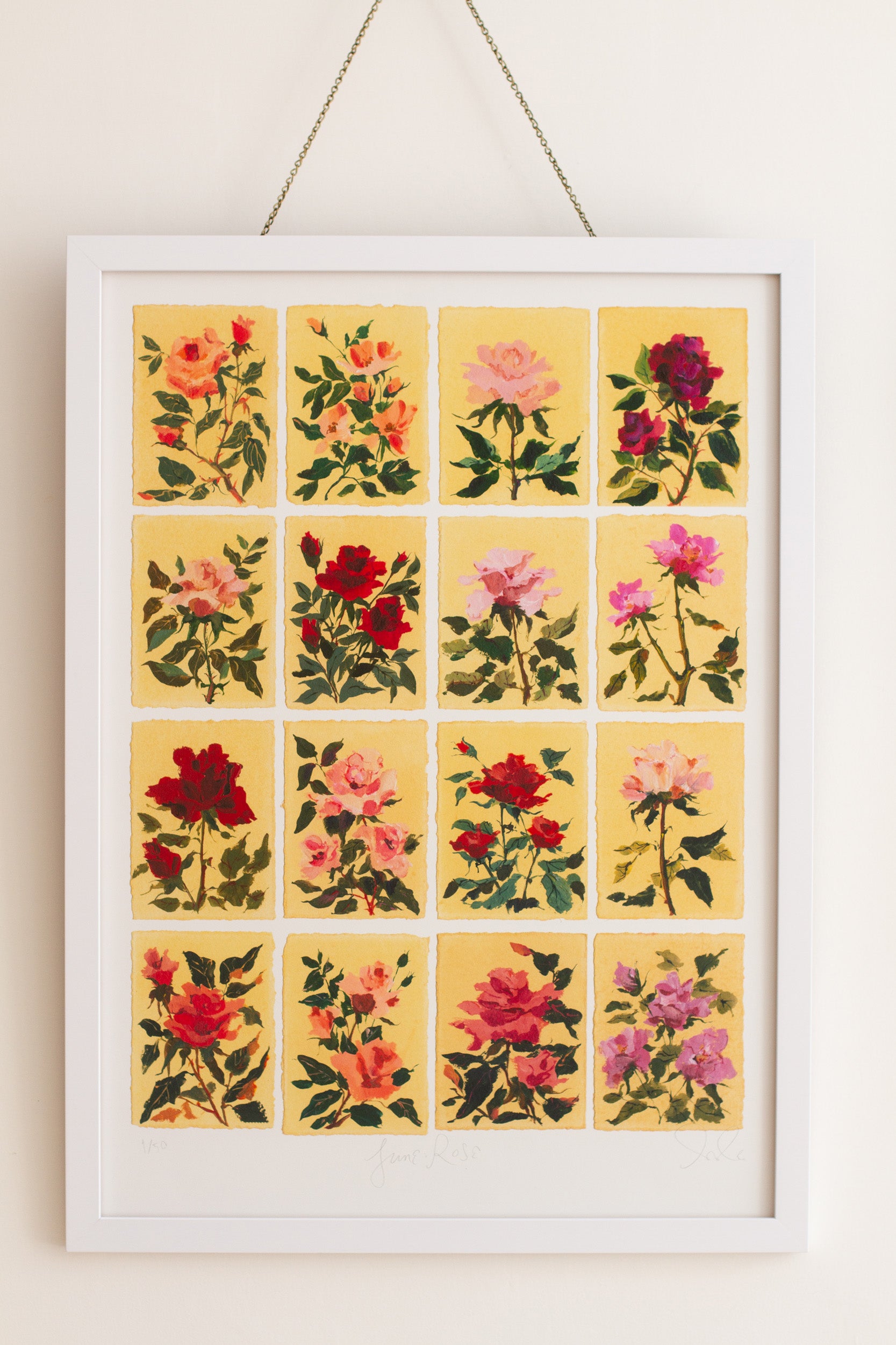 June's Rose: Series of 16