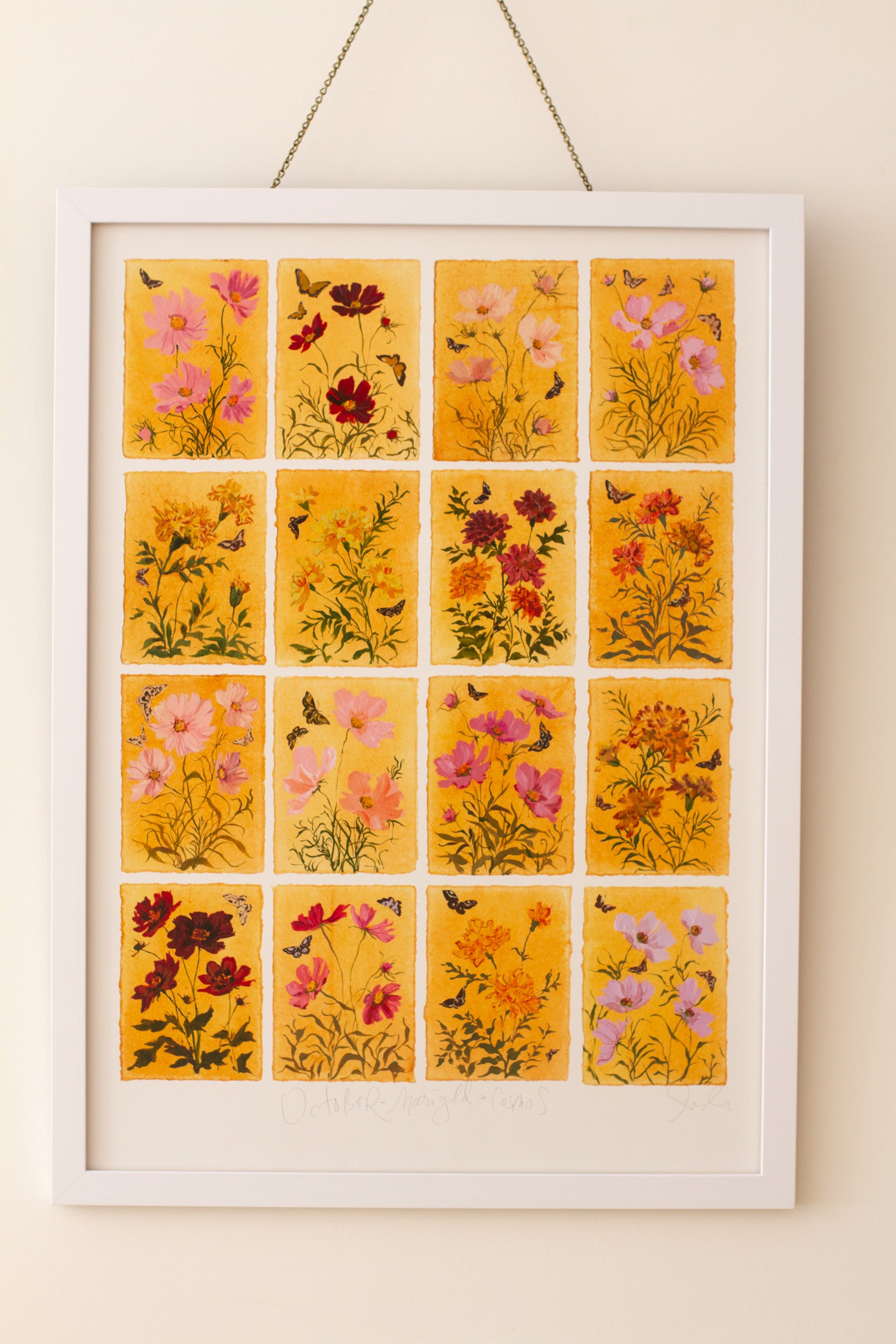October's Marigold & Cosmo: Series of 16