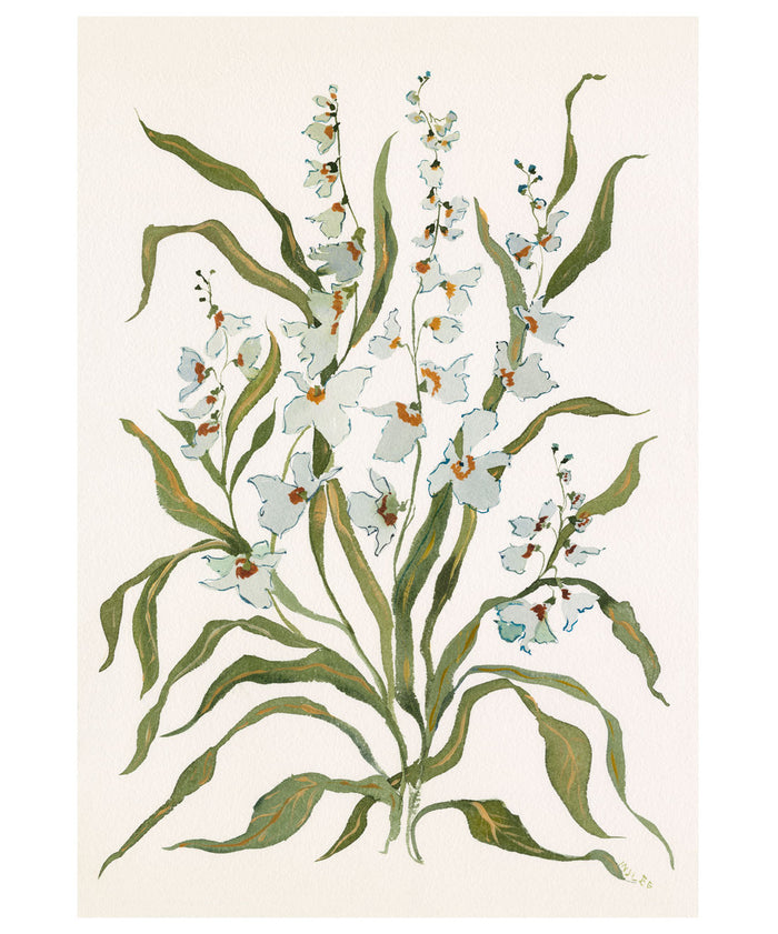 Botanical Print Dove & Celadon