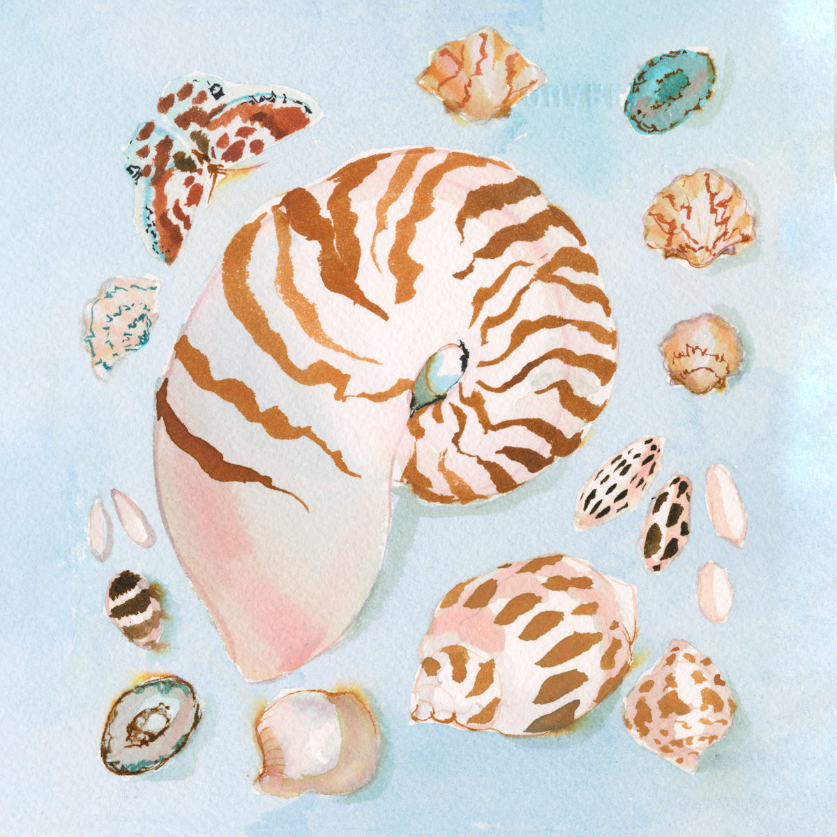inslee watercolor print acrylic block sea shells