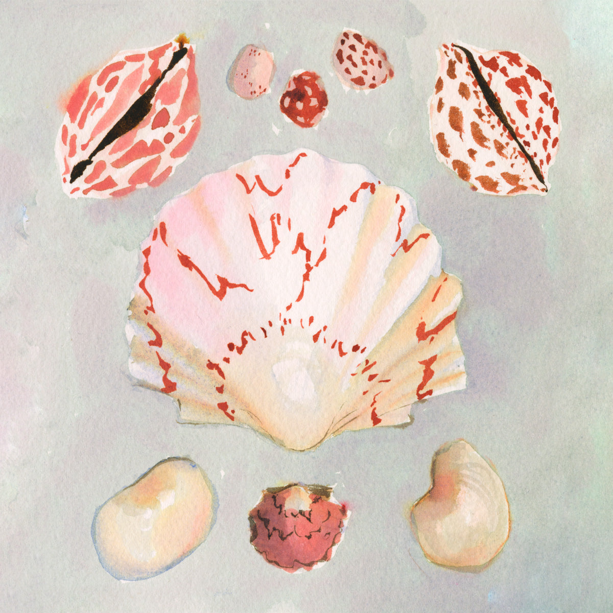 inslee watercolor print acrylic block oysters sea shells